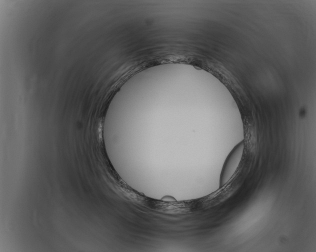 X0000097760191200803070845