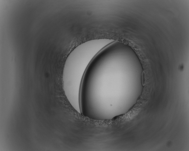 X0000097760192200803070845