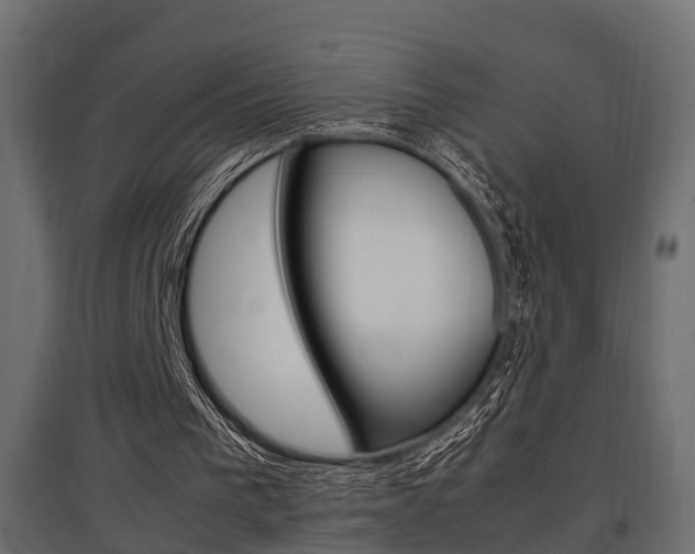 X0000097760193200803070844