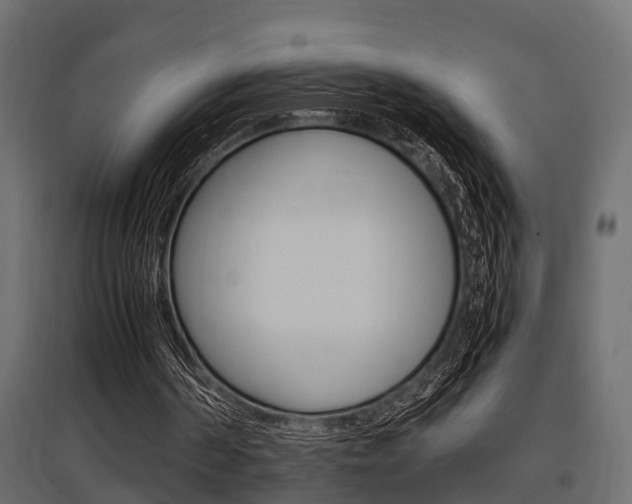 X0000097760194200803070844