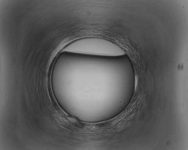X0000097760195200803070844