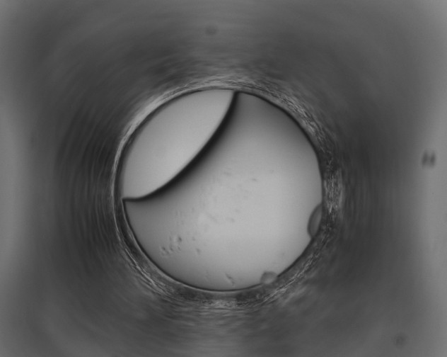 X0000097760196200803070844