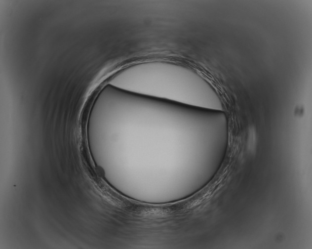X0000097760198200803070844