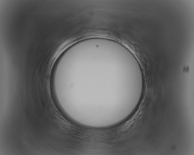 X0000097760199200803070844