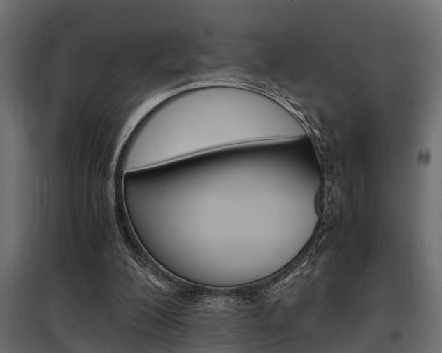 X0000097760200200803070844