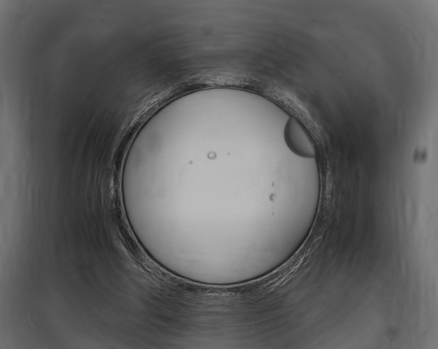 X0000097760202200803070844