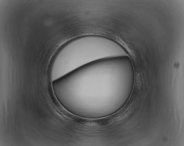 X0000097760203200803070844