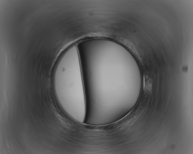 X0000097760204200803070844