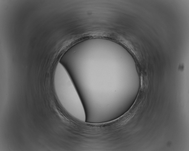 X0000097760205200803070844