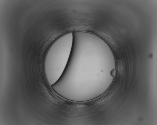 X0000097760206200803070844