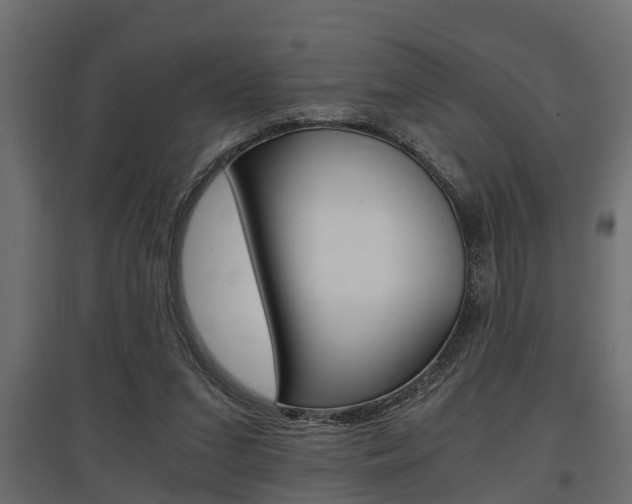 X0000097760207200803070844