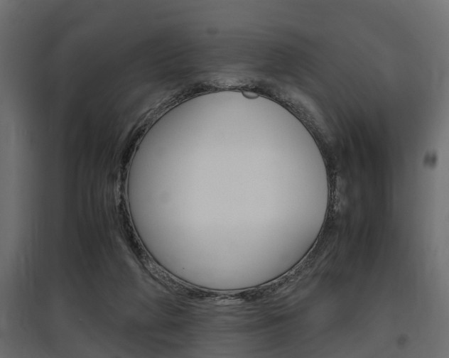 X0000097760210200803070844