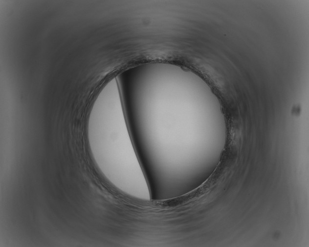 X0000097760211200803070844