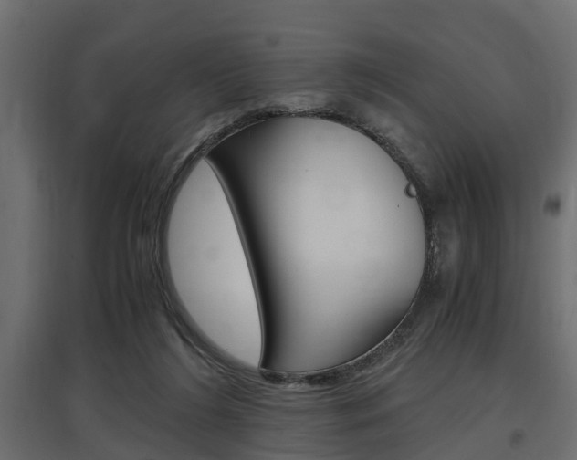 X0000097760212200803070844
