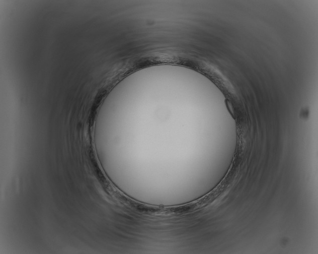 X0000097760213200803070844
