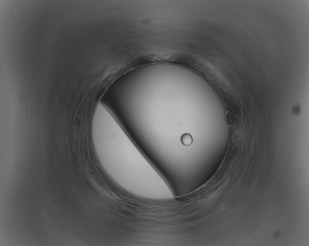 X0000097760215200803070844