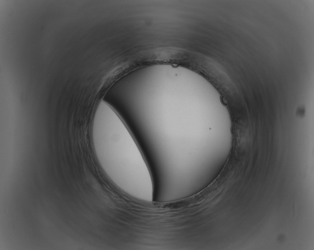 X0000097760216200803070844