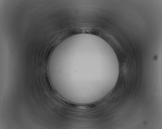 X0000097760218200803070844