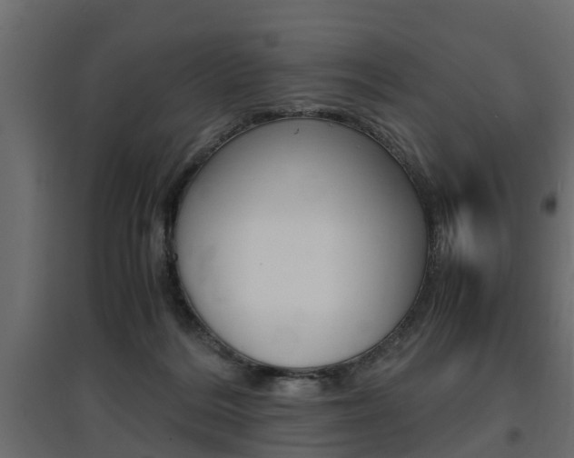 X0000097760220200803070844