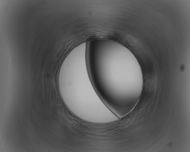 X0000097760221200803070844