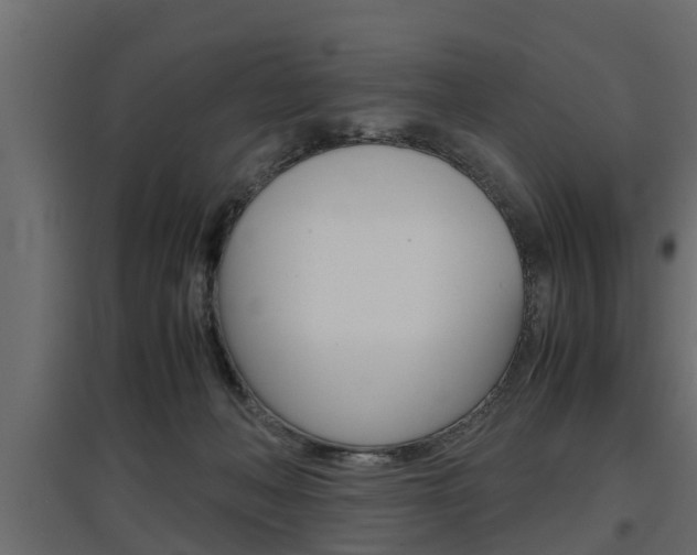 X0000097760222200803070844