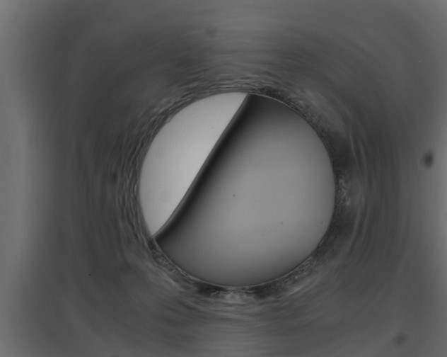 X0000097760223200803070844