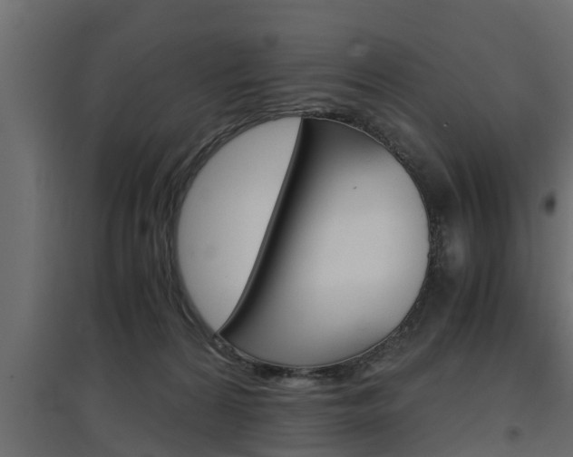 X0000097760224200803070844