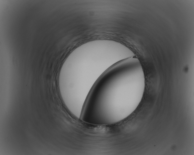 X0000097760225200803070844