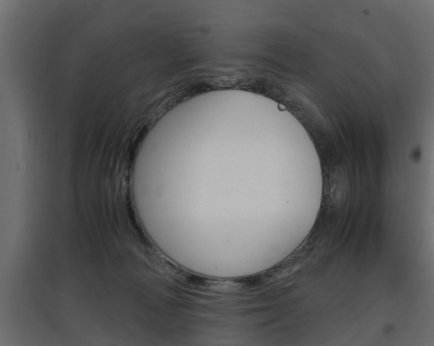 X0000097760226200803070844