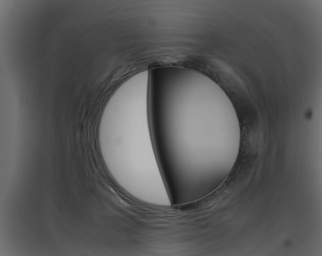 X0000097760227200803070844