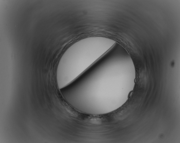 X0000097760228200803070844