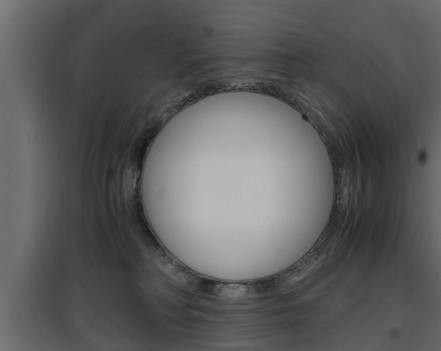 X0000097760230200803070844