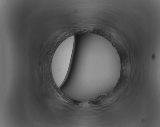 X0000097760231200803070844