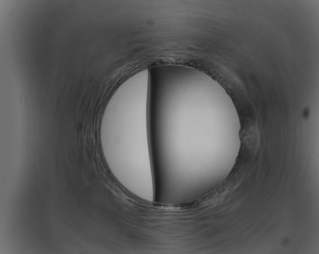 X0000097760233200803070844