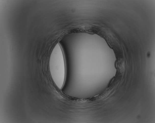 X0000097760235200803070844