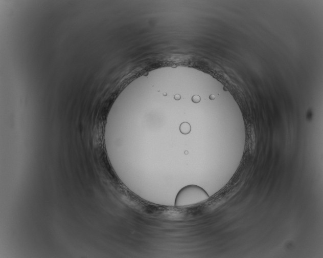 X0000097760236200803070844