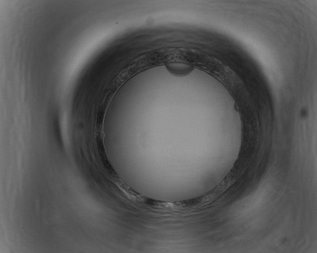 X0000097760239200803070844