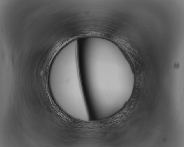 X0000097760241200803070843