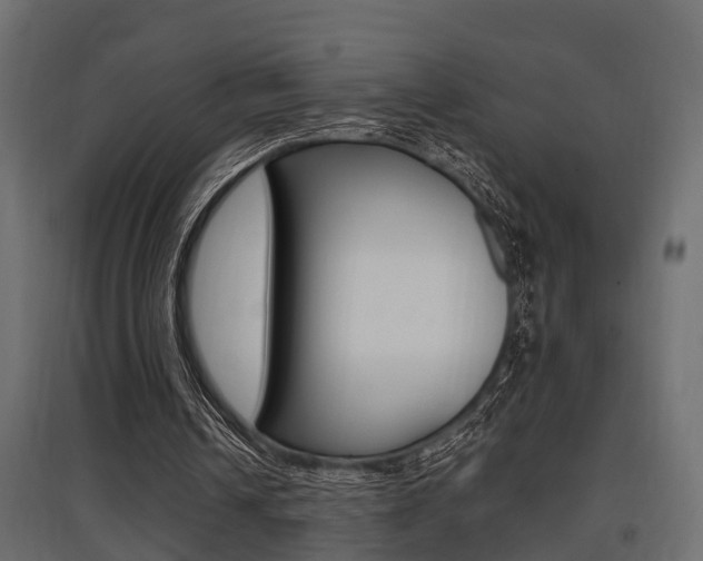 X0000097760242200803070843