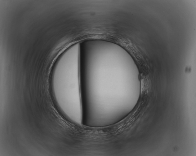 X0000097760243200803070843