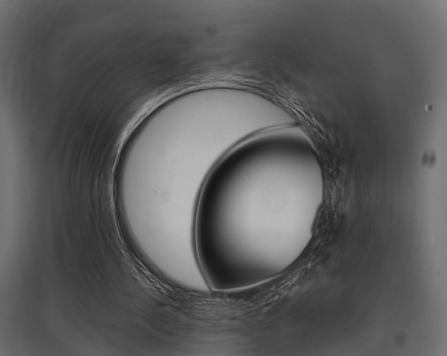 X0000097760244200803070843