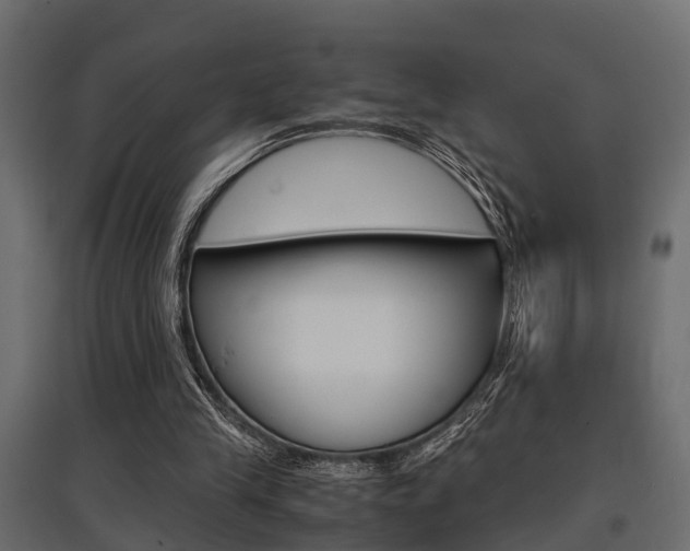 X0000097760245200803070843