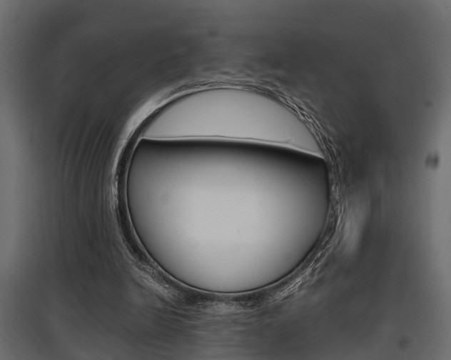 X0000097760246200803070843