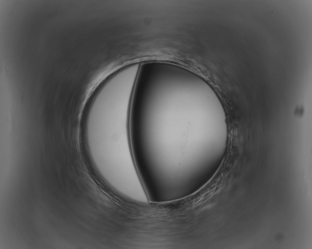 X0000097760248200803070843