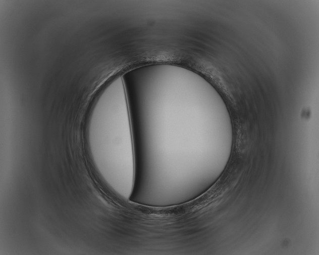 X0000097760251200803070843