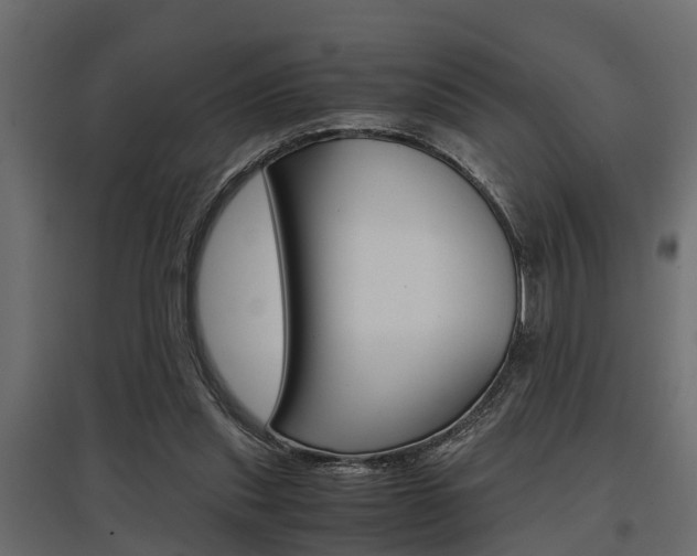 X0000097760253200803070843