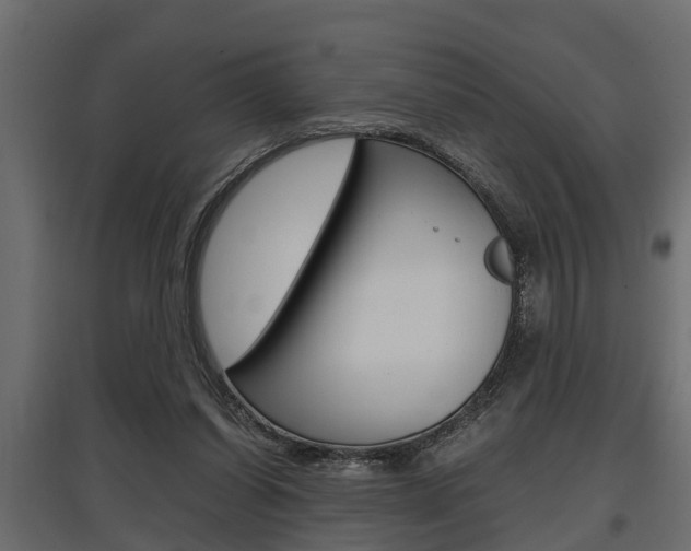 X0000097760254200803070843