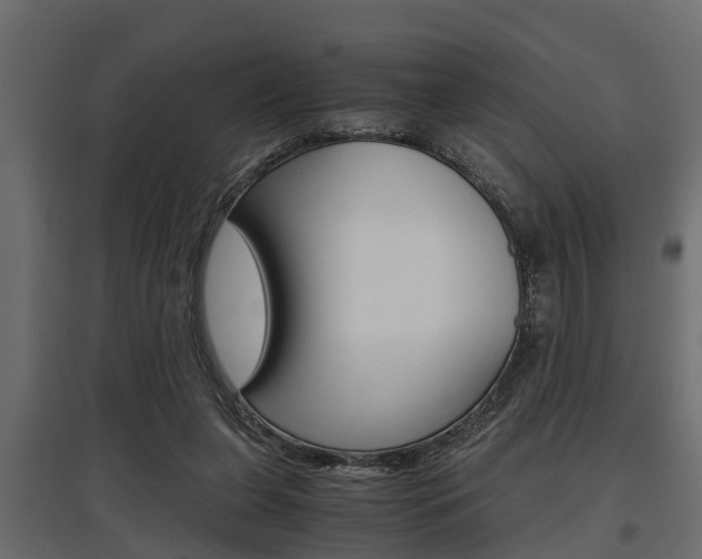 X0000097760255200803070843