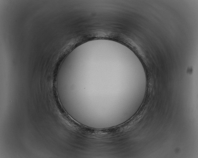 X0000097760257200803070843