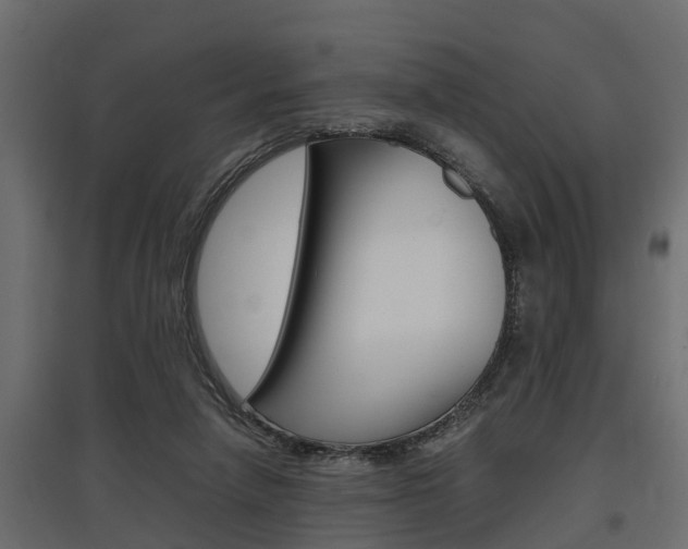 X0000097760258200803070843